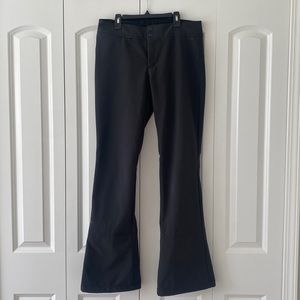 North Face Women’s Apex Snow pants
